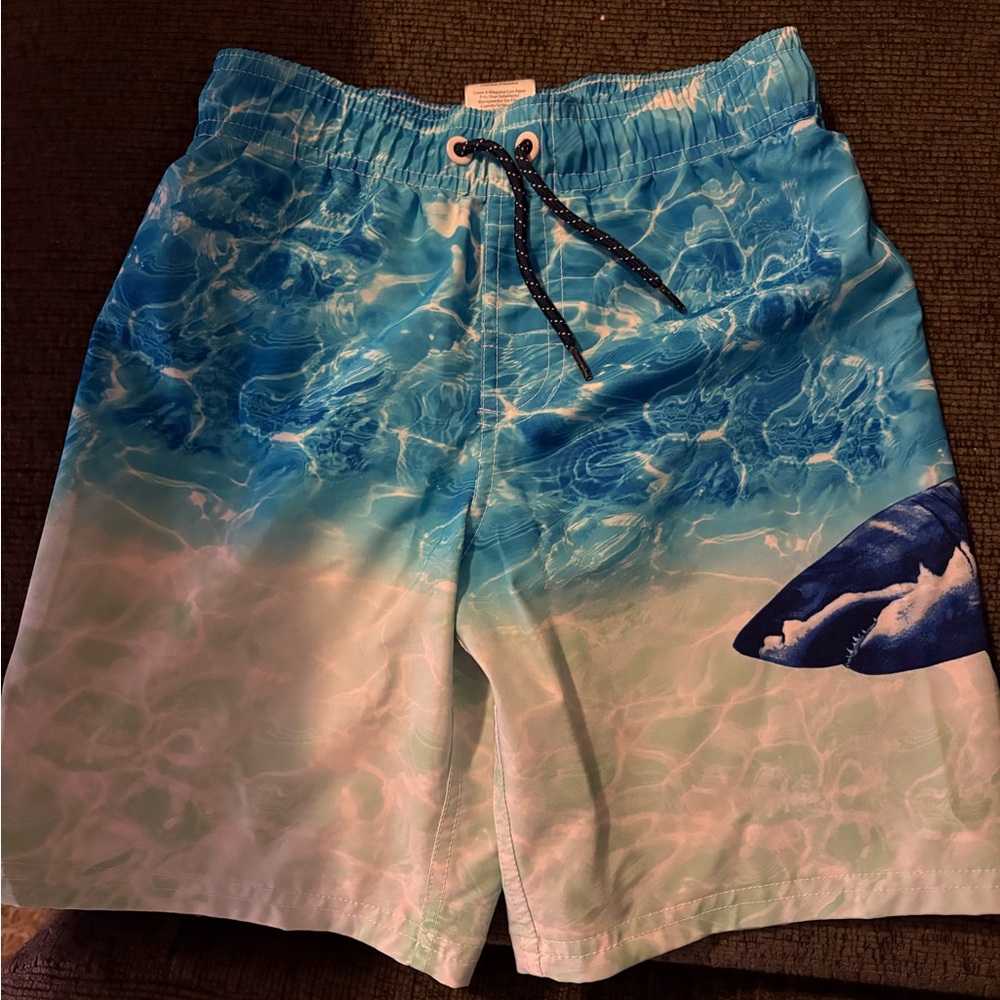 Blue Ocean Print Swim Shorts